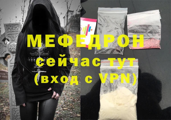 индика Бородино
